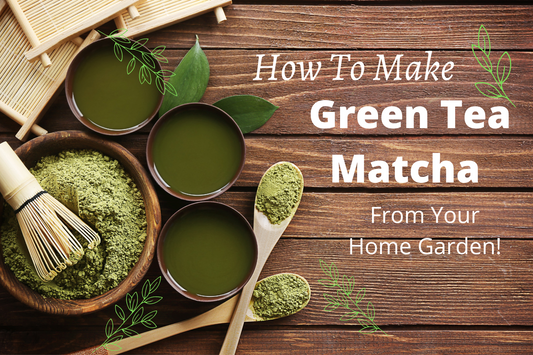Green Tea Matcha Style