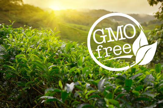 GMO FREE TEA