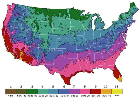 Climate Zones For Camellias