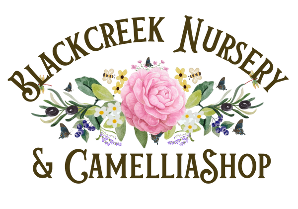 Blackcreek Nursery and Camelliashop