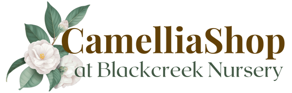 Blackcreek Nursery and Camelliashop