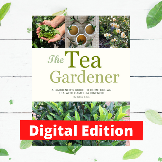 The Tea Gardener Ebook