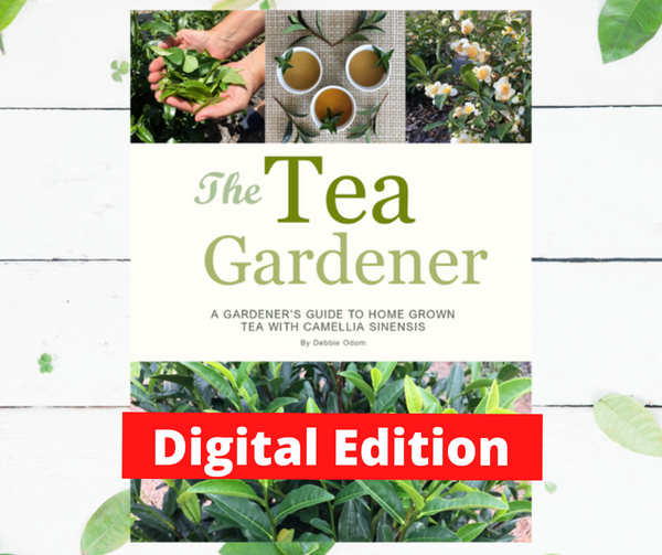 Camellia Gardener Digital Edition 2022
